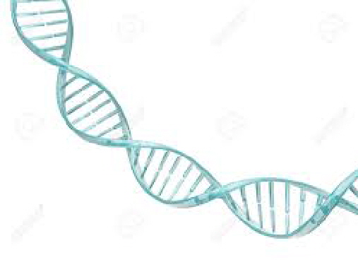 DNA-Strang